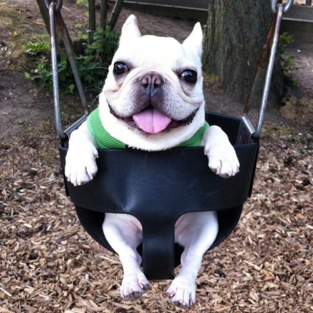 Meet your Posher, Brendan